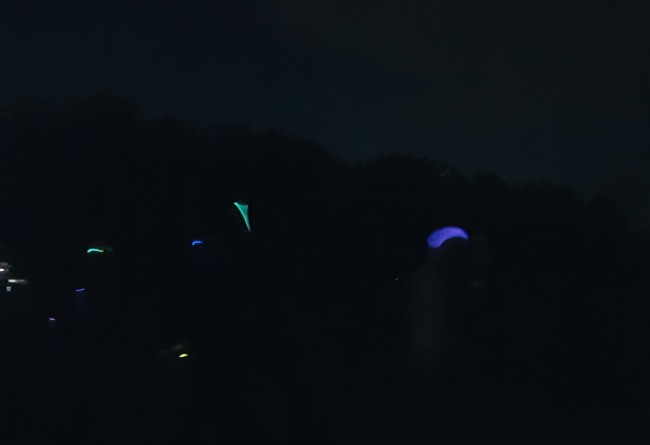 summer fireflies